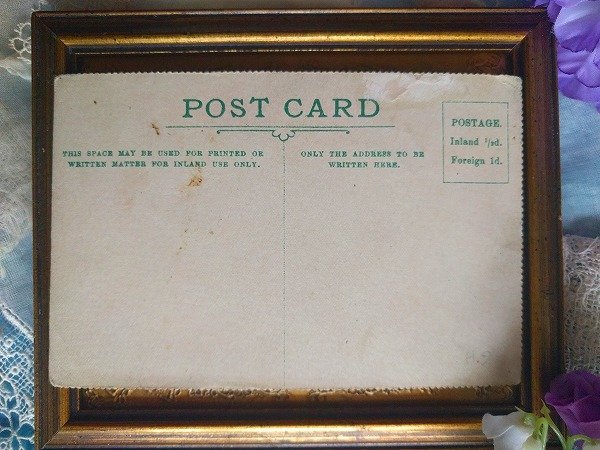 画像2: Postcard 強風で飛ばされる猫たち G.H. Thompson イギリス  (2)