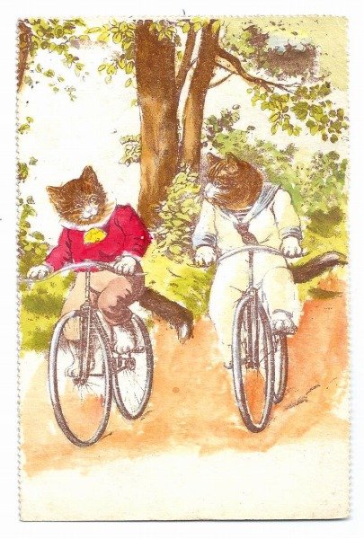 画像1: Postcard　自転車に乗る猫さん　セーラー服　水兵　G.H. Thompson　イギリス　 (1)