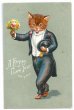 画像1: Postcard　花束を差し出す猫の紳士　1905年頃　 (1)