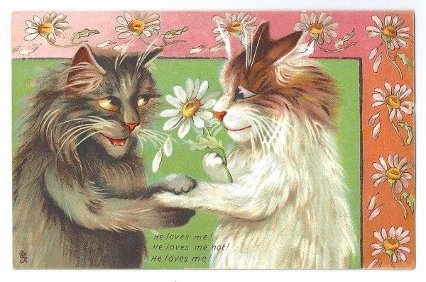 画像1: Postcard　恋する猫　花占い　Maurice Boulanger　1909年　 (1)