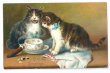 画像1: Postcard　2匹の猫とティーカップと葉巻煙草　1910年　 (1)