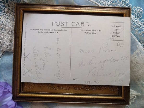 画像2: Postcard  女の子とキノコのの森の妖精　Flora White　 (2)