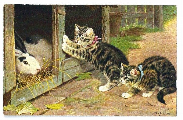 画像1: Postcard　ウサギ小屋の前で遊ぶ2匹の子猫　未使用　 (1)