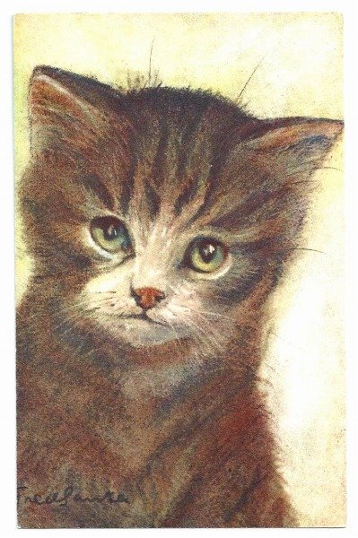 画像1: Postcard　子猫　スイス　未使用　　 (1)