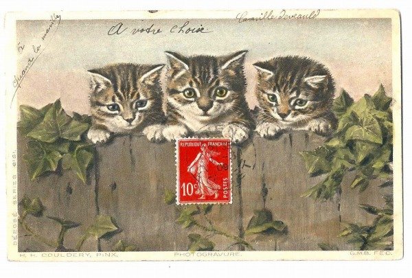 画像1: Postcard　塀の上の3匹の猫　フランス1909年　　 (1)