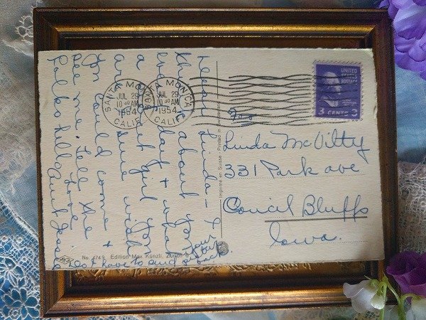 画像2: Postcard リンゴの木にぶつかった車 猫 Mainzer cat  (2)