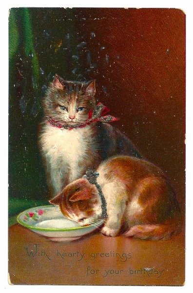 画像1: Postcard　ミルクを飲む猫　　 (1)