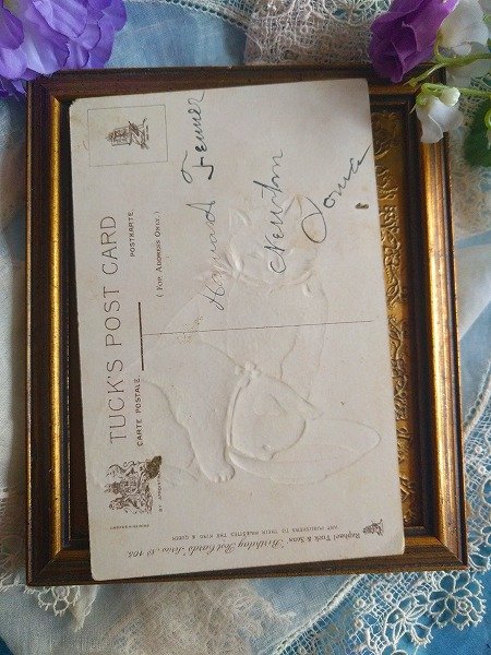 画像2: Postcard ミルクを飲む猫   (2)