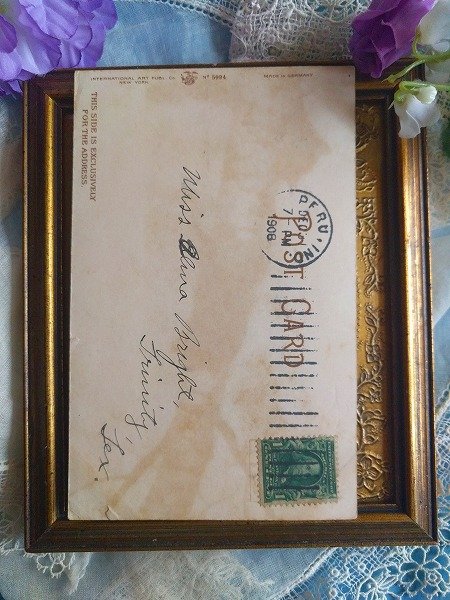 画像2: Postcard 白樺の木に登る子猫 アメリカ1908年   (2)