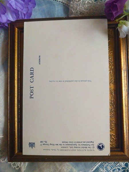 画像2: Postcard 白い子猫とお花 イギリス  (2)