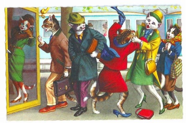 画像1: Postcard　駅の構内で電話待ち中に喧嘩をする猫夫人　Mainzer cat　 (1)