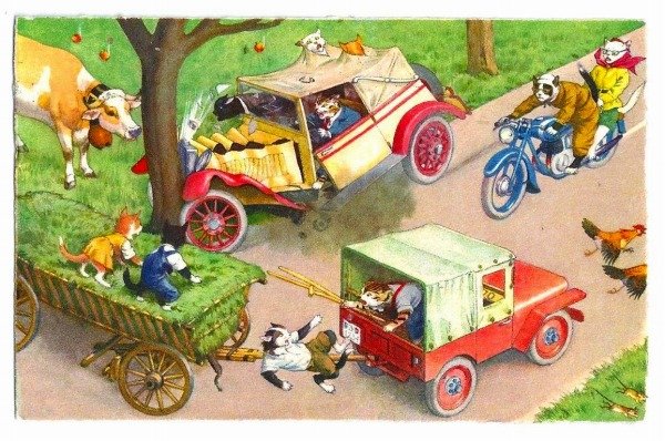 画像1: Postcard　リンゴの木にぶつかった車　猫　Mainzer cat　 (1)