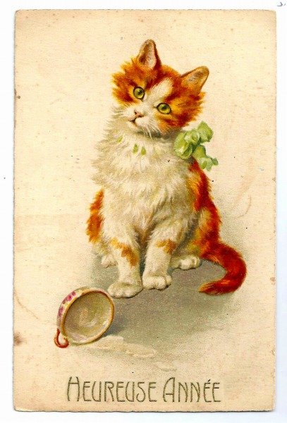 画像1: Postcard　ティーカップを落としてしまった茶白の猫　フランス　 (1)