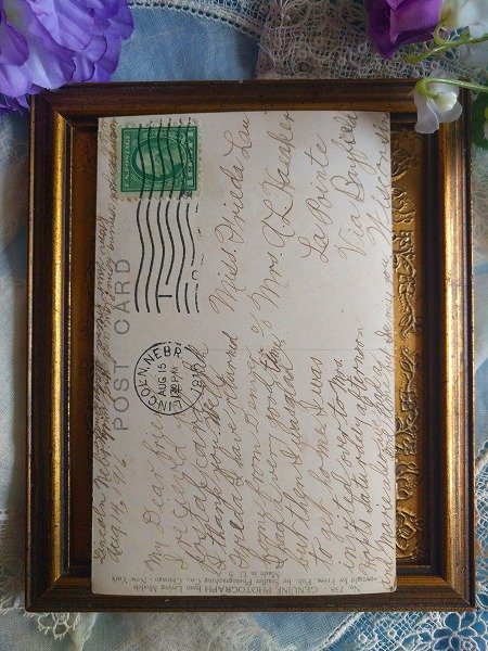 画像2: Postcard お洋服を着た塀の上の猫たち アメリカ1916年  (2)