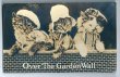 画像1: Postcard　お洋服を着た塀の上の猫たち　アメリカ1916年　 (1)