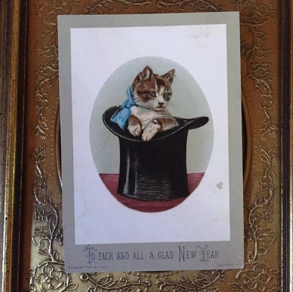 画像1: Mini Greeting card  シルクハットの中の子猫　 (1)