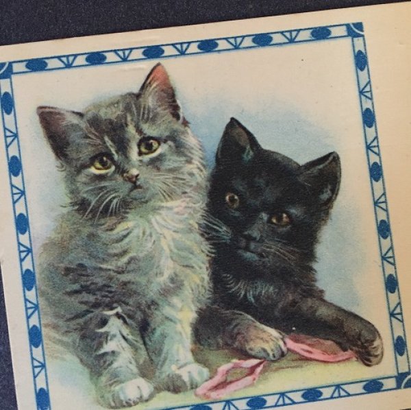 画像3: Mini Greeting card 2匹の猫・ポストに手紙を入れる猫 2枚組    (3)