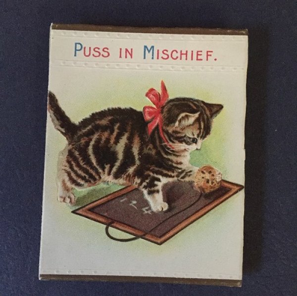 画像1: Greeting card　黒板と子猫　1900年頃  　 (1)