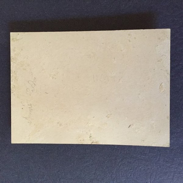 画像3: Mini Greeting card 窓から顔を出した犬を見ている猫 1900年頃   (3)