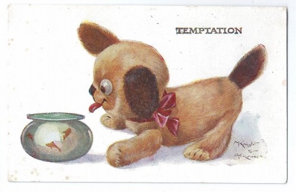 画像1: Postcard　金魚とタビー犬　EINCO Tubby Dog (1)
