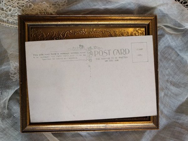 画像2: Postcard タビー犬 EINCO Tubby Dog 未使用 (2)