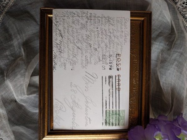 画像2: Postcard ニンジンの葉を食べるパンダウサギ 1907年 (2)