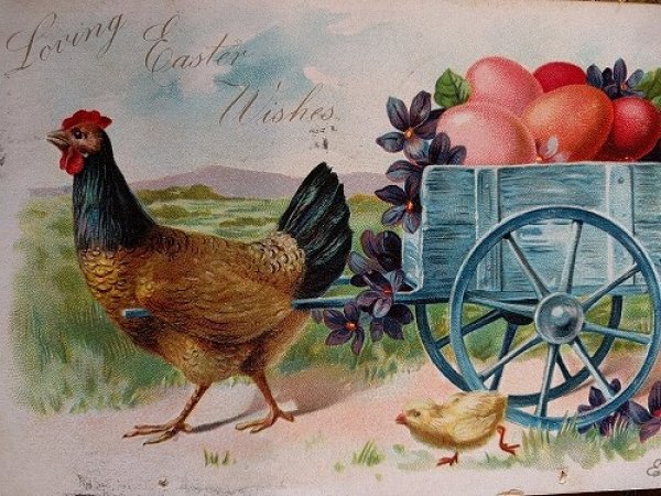 画像2: Postcard  イースターエッグを運ぶニワトリ 1906年 (2)