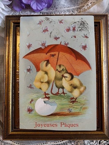 画像1: Postcard  イースター　降ってくるスミレのお花と傘をさすヒヨコ (1)