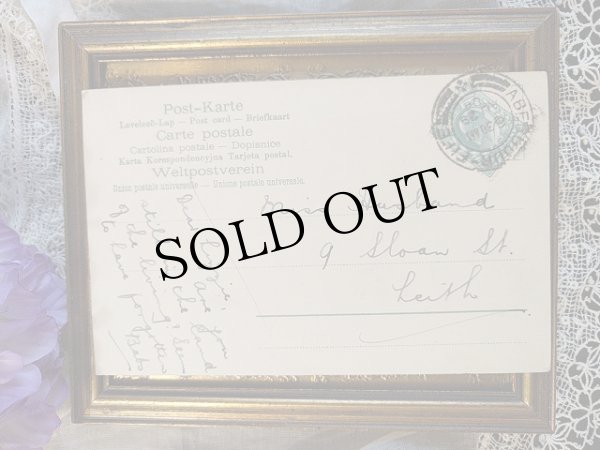 画像2: Postcard　忘れな草のお花かご　イギリス1904年 (2)