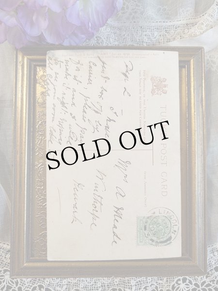 画像2: Postcard　忘れな草のお花　イギリス1905年 (2)