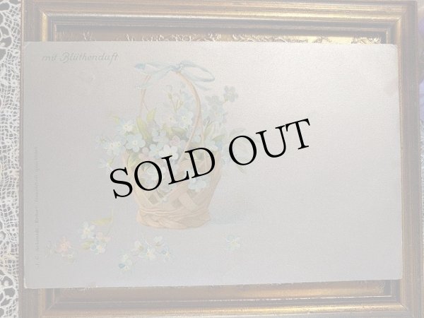 画像1: Postcard　忘れな草のお花かご　イギリス1904年 (1)