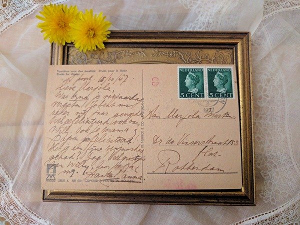 画像2: Postcard フルーツを摘むリスさんの親子 Willy Schermele (2)