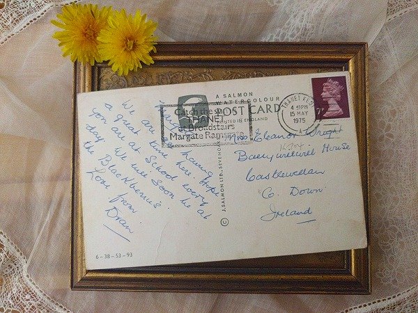 画像3: Postcard ブラックベリーを摘むウサギさんとリスさん Rene Cloke  (3)