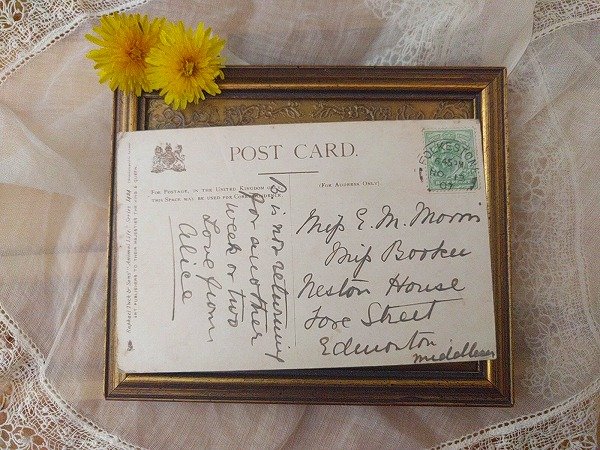 画像2: Postcard 木の上のリス イギリス1908年 (2)