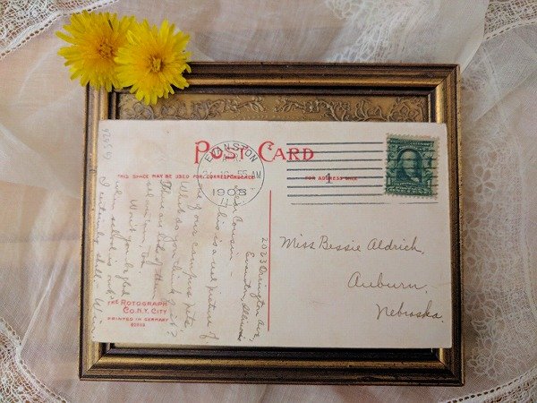画像2: ▼SALE 500▼ Postcard リス アメリカ1908年 (2)