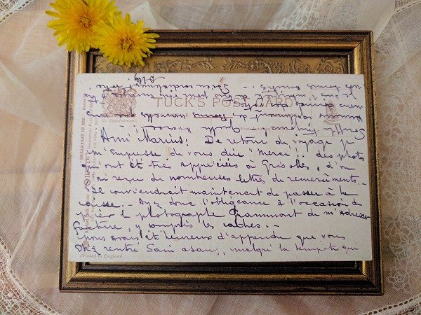 画像3: Postcard　B&Bのベッドで朝食　キツネ　Ellam  (3)