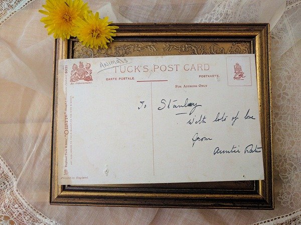 画像2: Postcard　B&Bのベッドで朝食　カエル　キノコ　Ellam　1909年 (2)