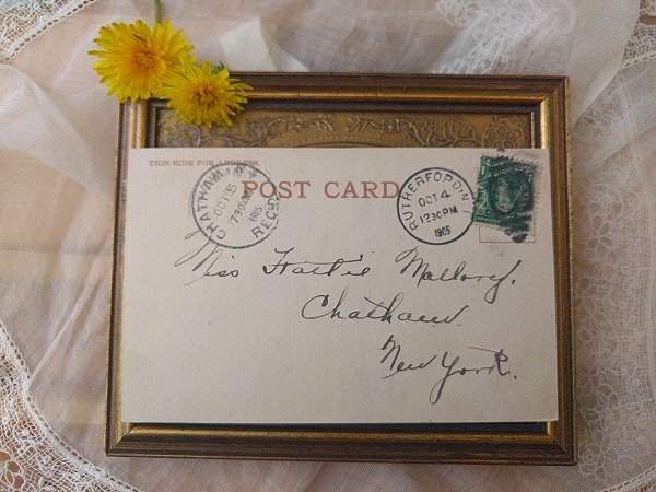 画像3: Postcard ファームの豚さん 1905年 (3)