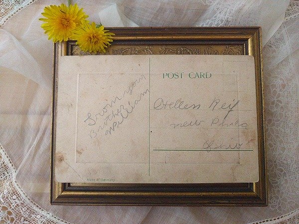 画像3: Postcard New Year 3匹の子豚と遊ぶ子どもたち (3)