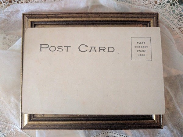 画像3: Postcard 煙草を吹かす豚さん Hog 未使用 (3)