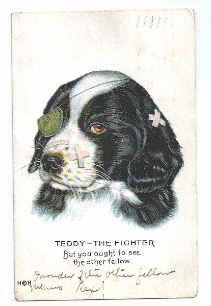 画像1: Postcard　 テディ　ファイター　喧嘩して怪我をした犬　1917年 (1)