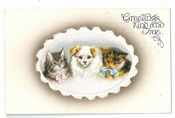 画像1: Postcard　猫と犬　Helena Maguire　未使用 (1)