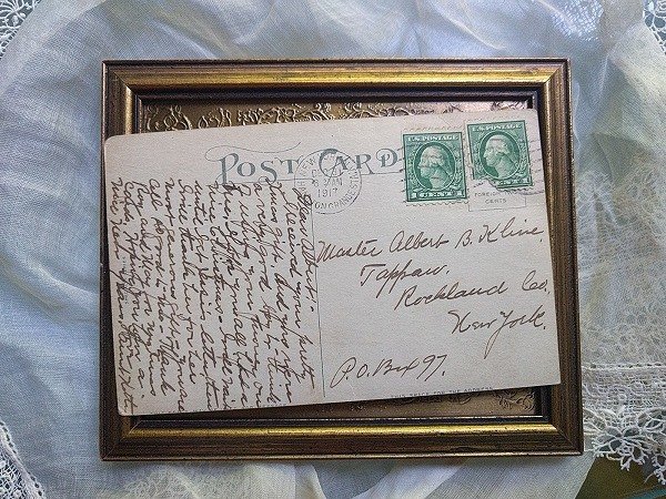 画像2: Postcard  テディ ファイター 喧嘩して怪我をした犬 1917年 (2)