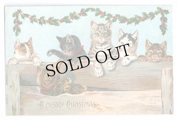 画像1: Postcard　クリスマス　6匹の猫たち　 (1)