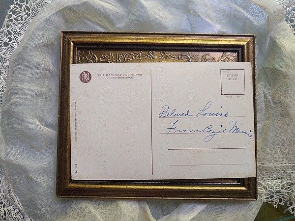 画像2: Postcard いたずらっ子な3匹の子猫たち 白猫  Wiederseim (2)