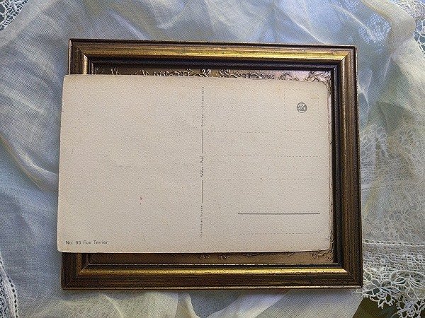 画像2: Postcard  犬 フォックステリア 未使用 (2)