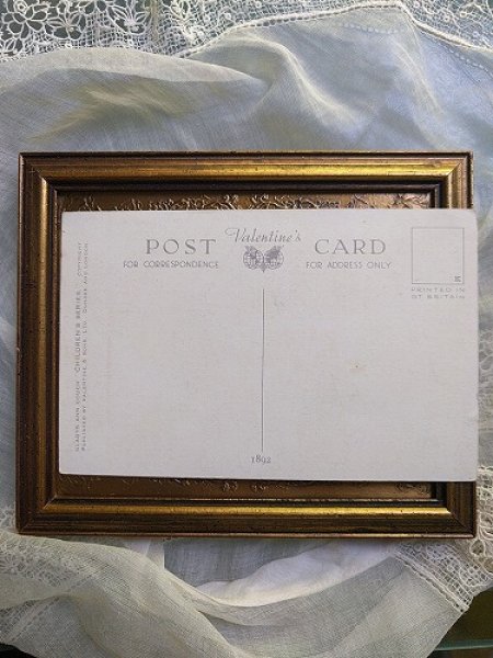 画像2: Postcard 犬を洗う女の子 バスタイム  スパニエル犬 (2)