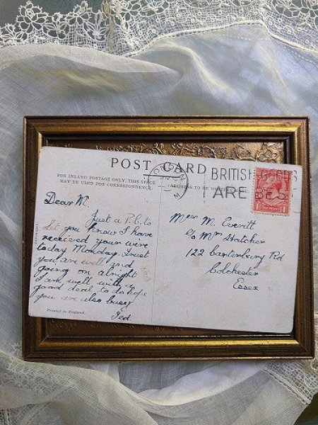 画像2: Postcard 犬のバスタイム (2)