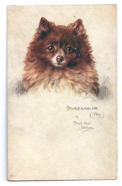 画像1: Postcard　ポメラニアン　犬 (1)