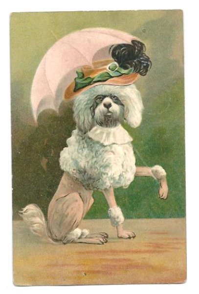 画像1: Postcard　オシャレなプードル犬　日傘と羽帽子　1909年 (1)